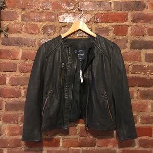 Metropolis black leather jacket with copper zips
